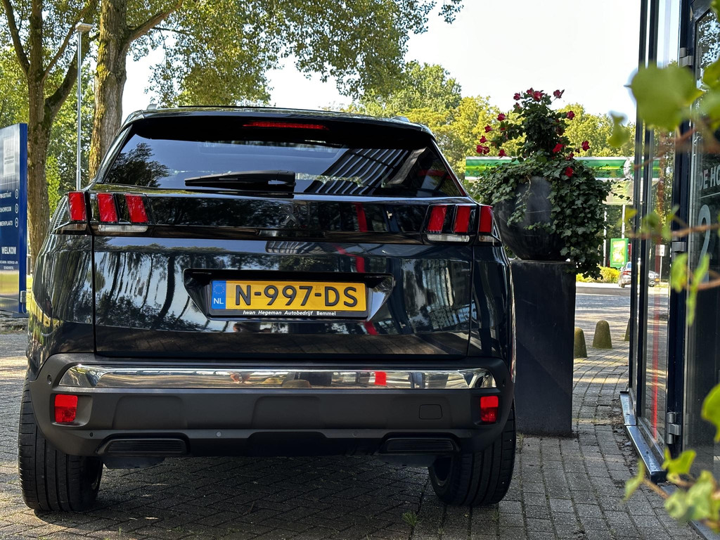 39733547-7.jpg