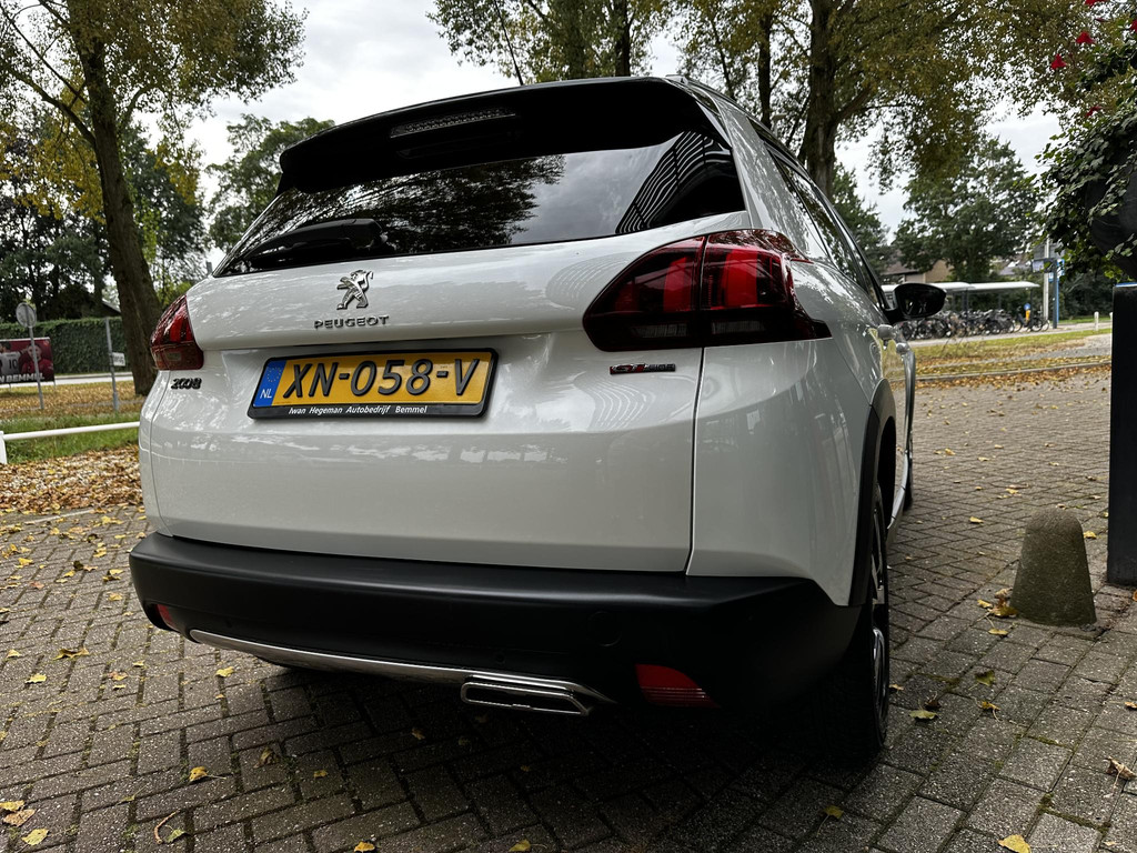 40017656-6.jpg
