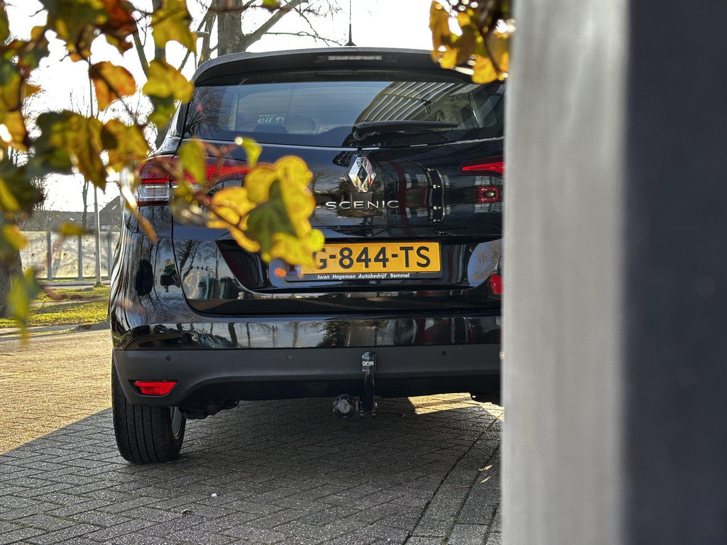 43296668-7.jpg