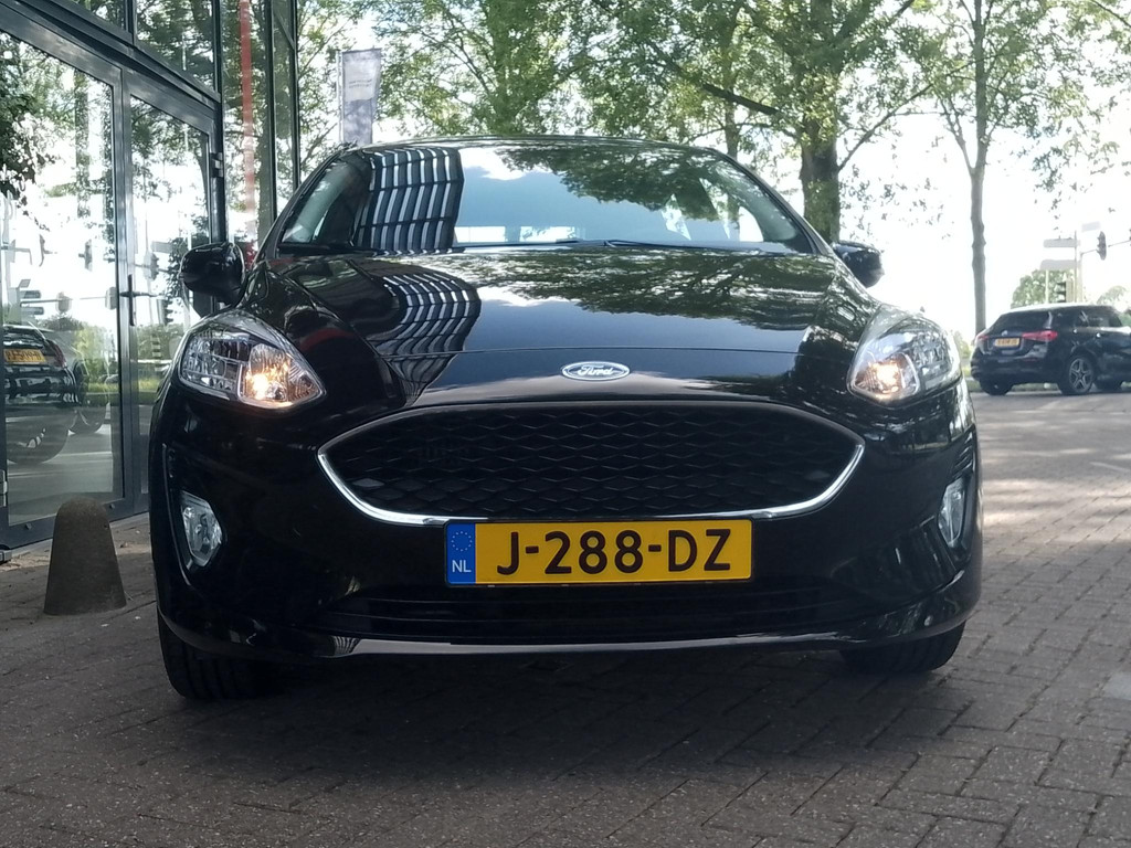 45014546-5.jpg