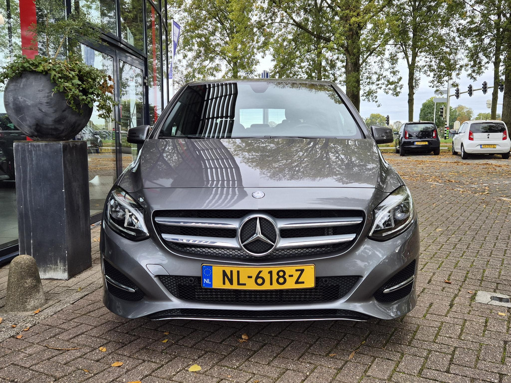 48445498-6.jpg