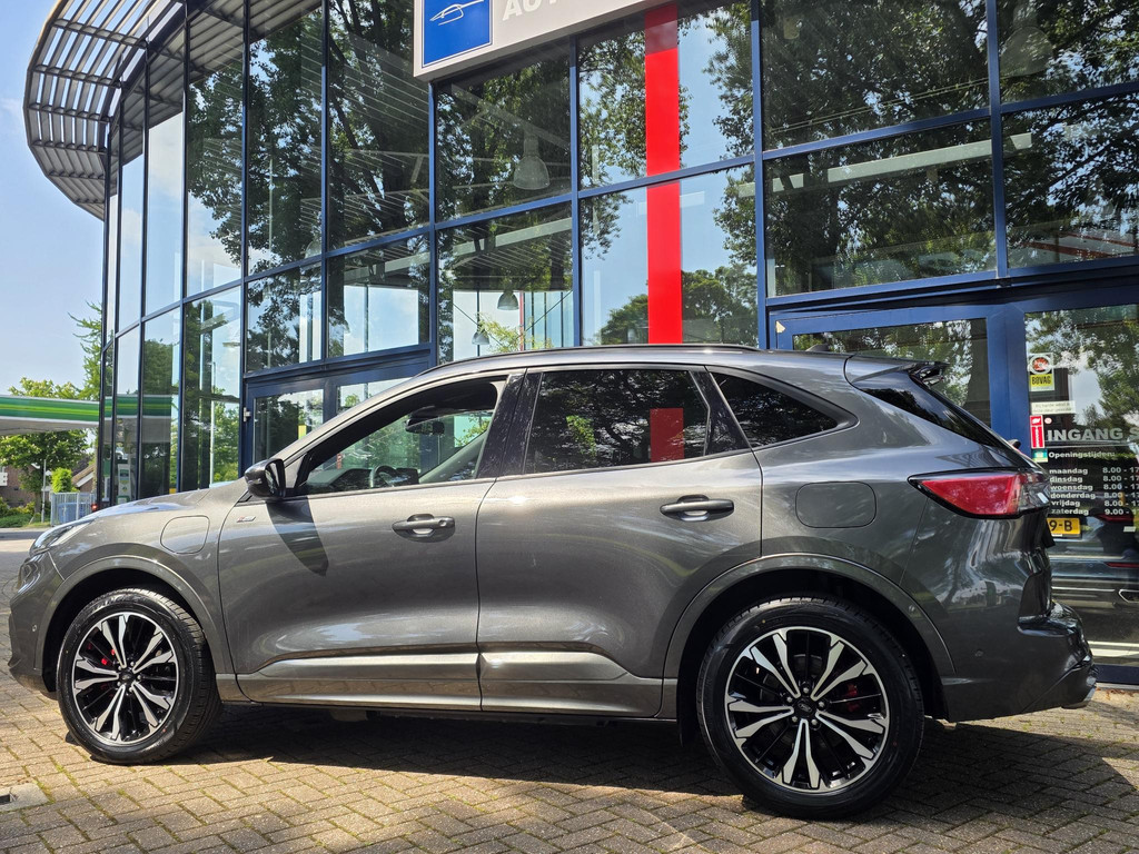 53315245-3.jpg